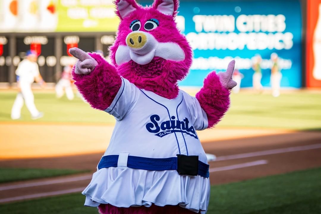 Mudonna, the St. Paul Saints mascot: a giant pink pig with baseball jersey on